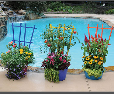 Combo Trugs and Trellises