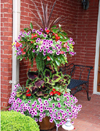 Basket Columns