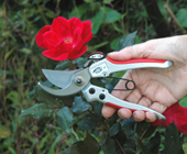 Barnel Tools